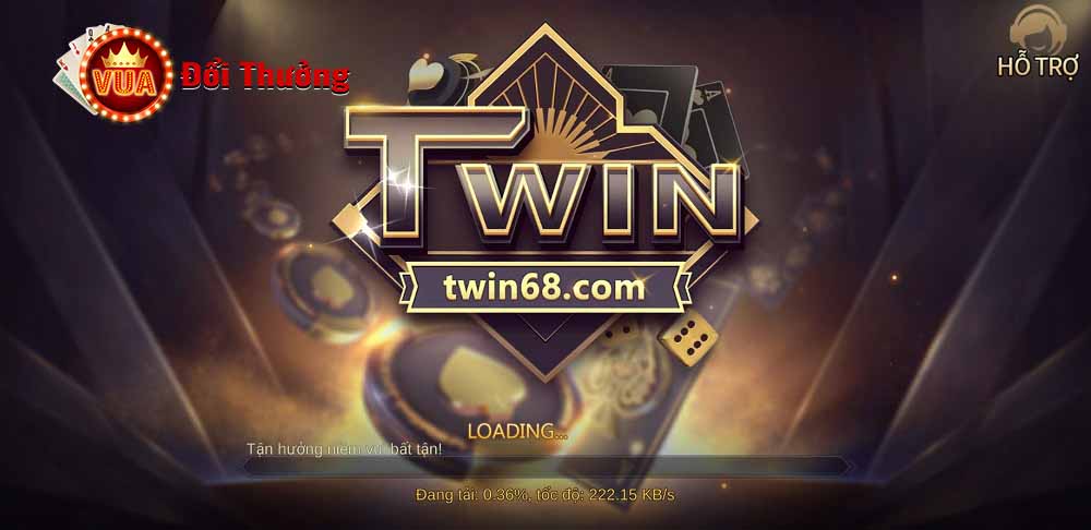 Tổng quan về cổng game Twin